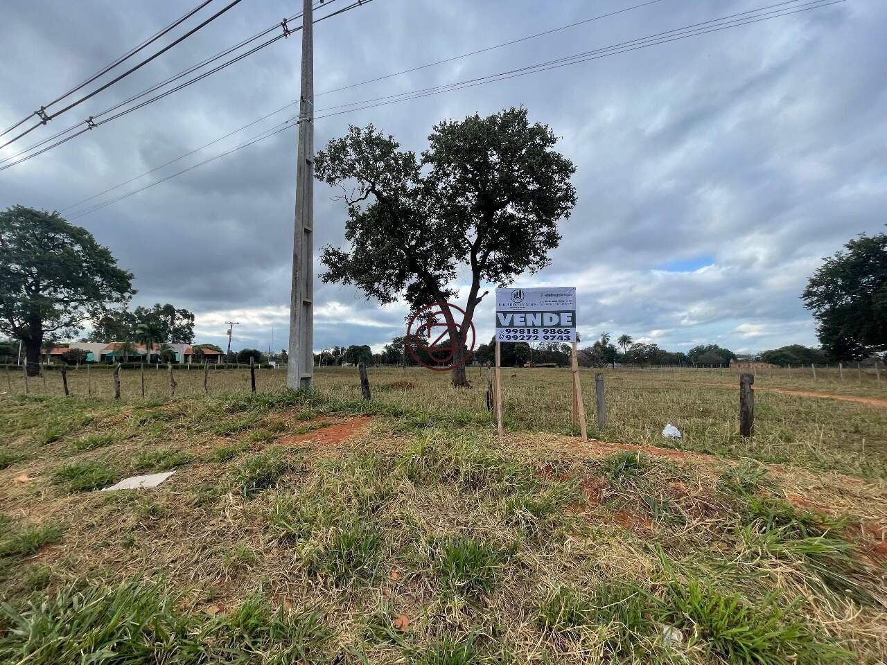 Sítio à venda no Santa Luzia: 