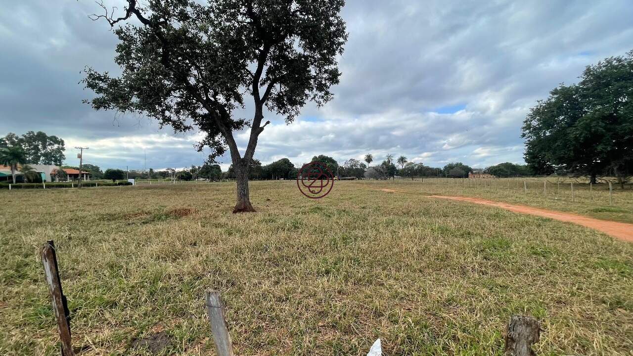 Sítio à venda no Santa Luzia: 