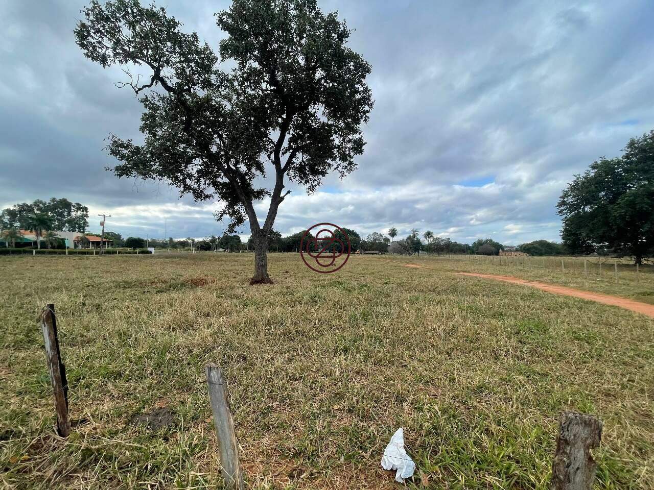 Sítio à venda no Santa Luzia: 