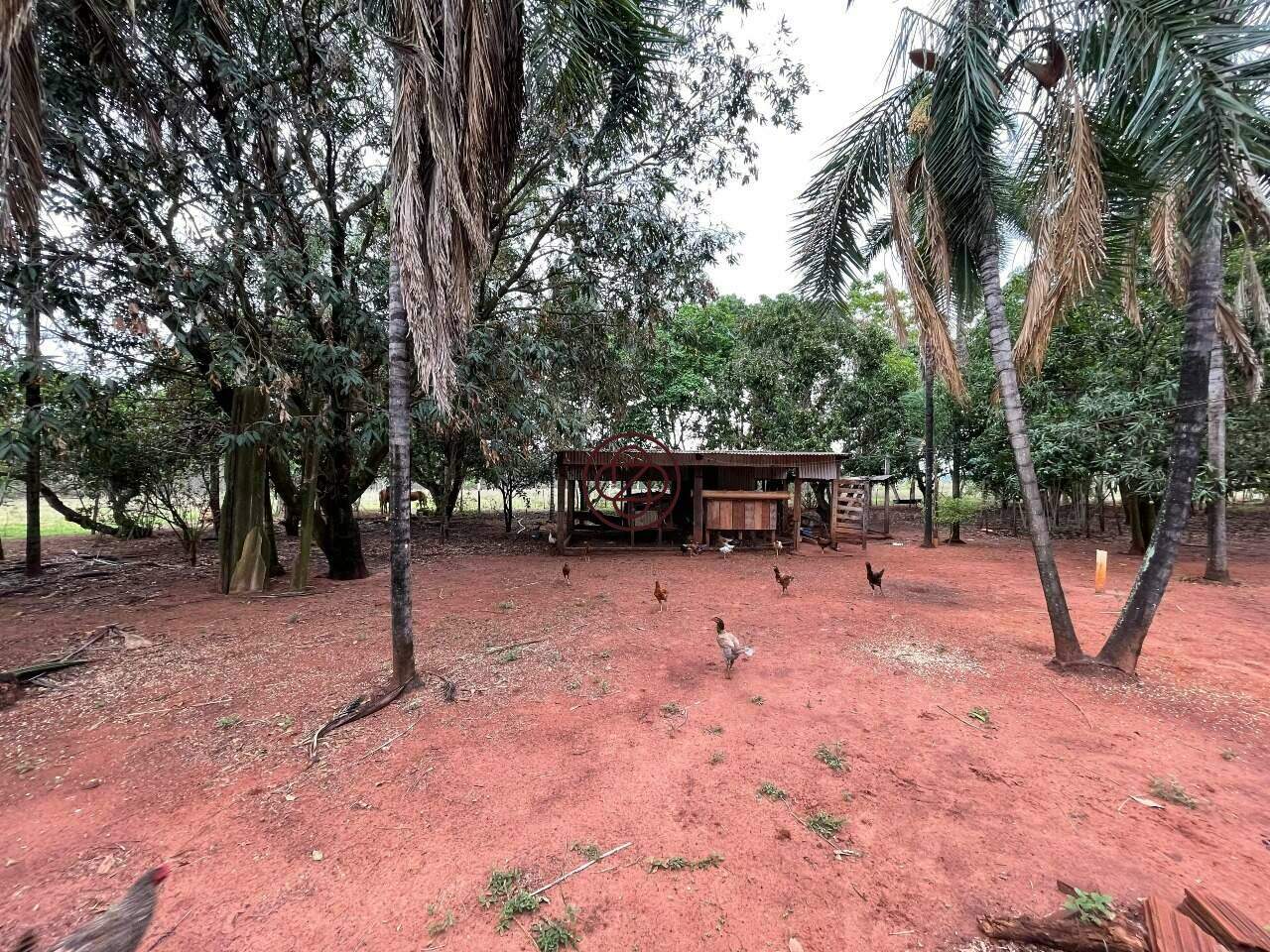 Sítio à venda no Zona Rural: 