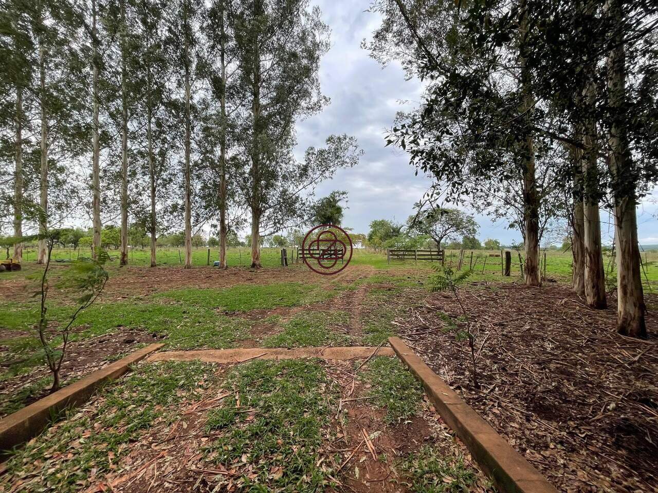 Sítio à venda no Zona Rural: 