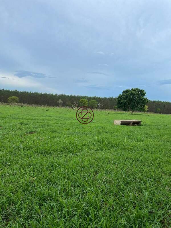 Sítio à venda no Zona Rural: 