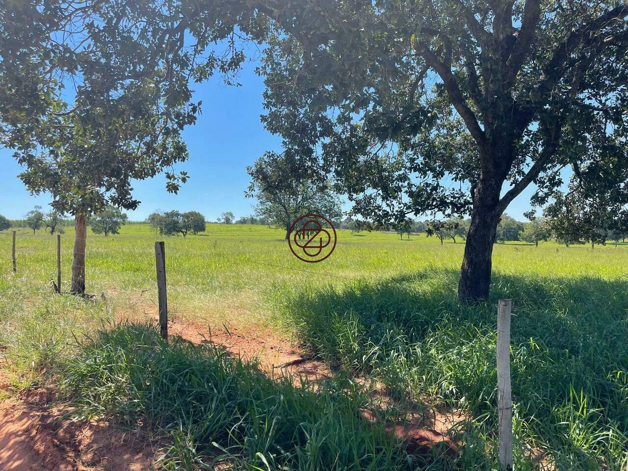 Sítio à venda no ZONA RURAL : 