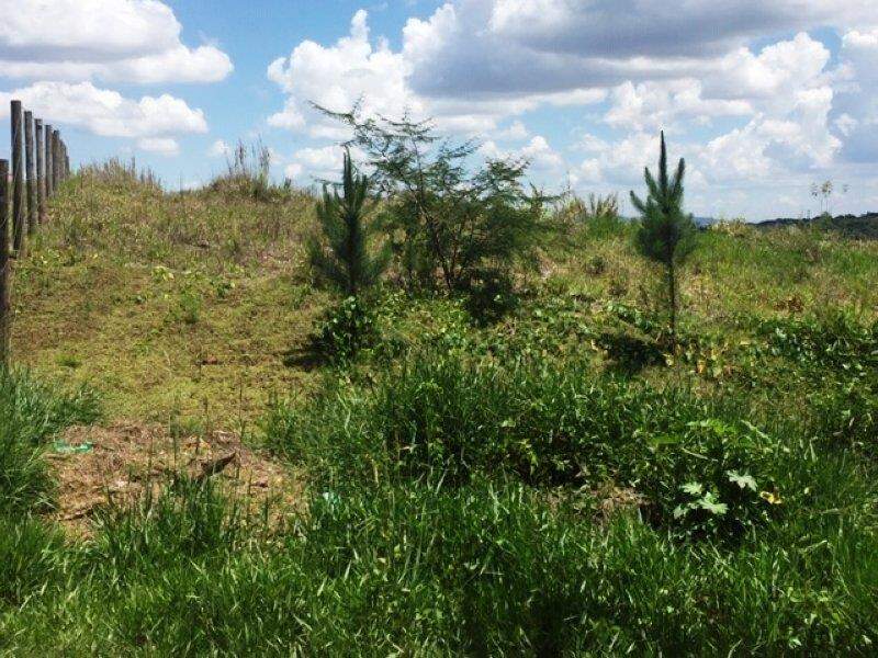 Terreno Padrão à venda no Chacaras Sao Cristovao: 