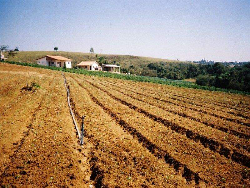 Sítio Padrão à venda no Ribeirão dos Santos: 