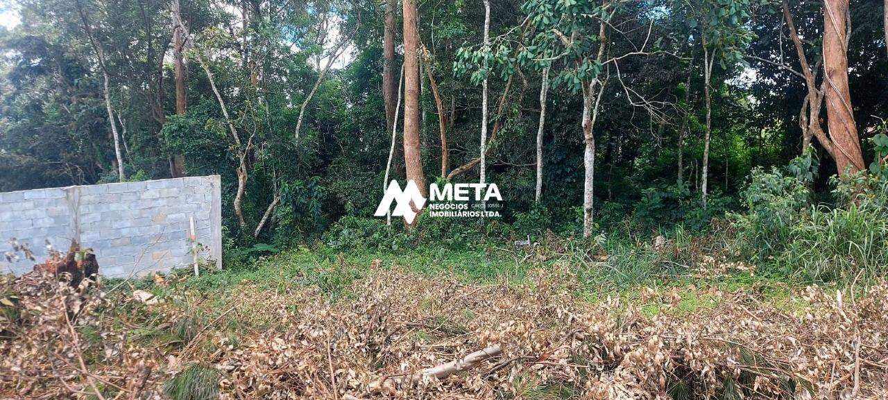Terreno Padrão à venda no Embu Colonial: 