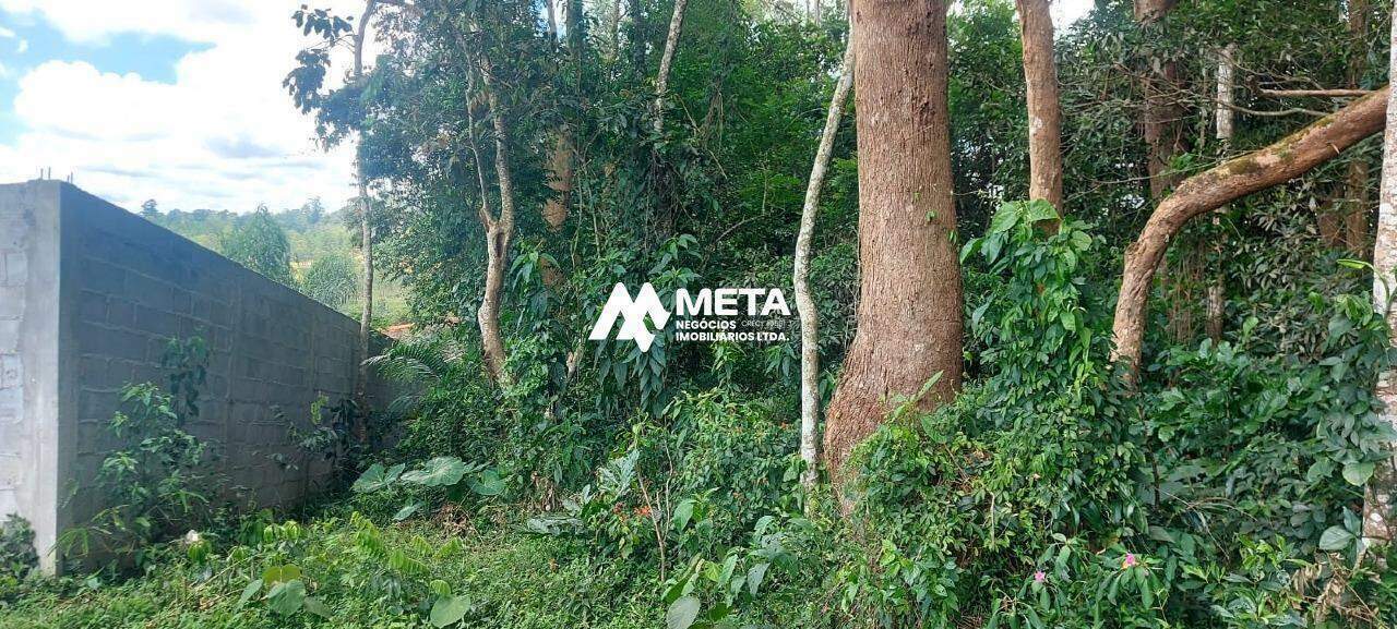 Terreno Padrão à venda no Embu Colonial: 