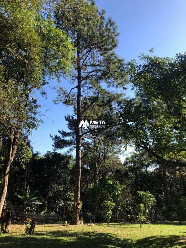 Terreno Padrão à venda no Embu Mirim: 