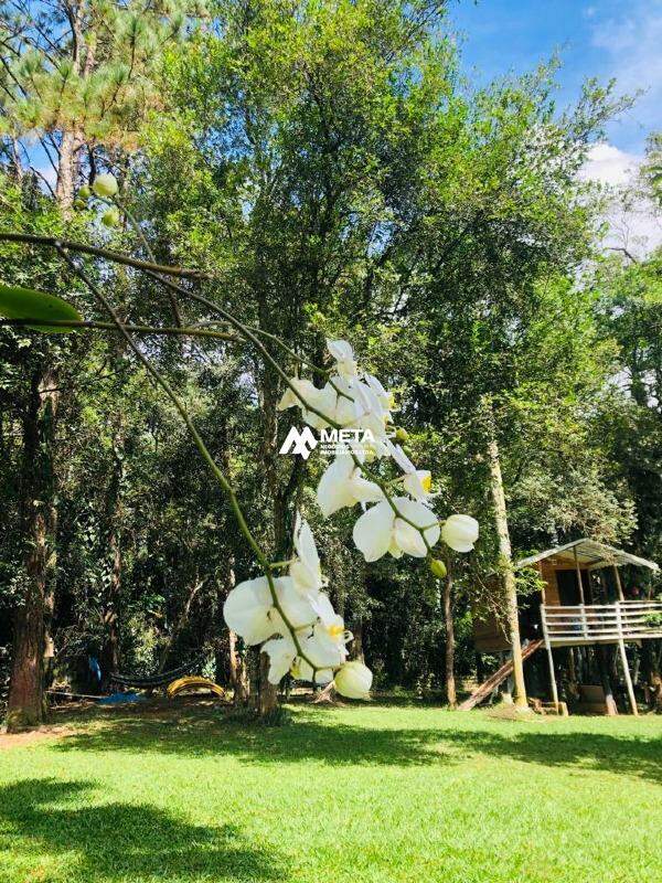 Terreno Padrão à venda no Embu Mirim: 