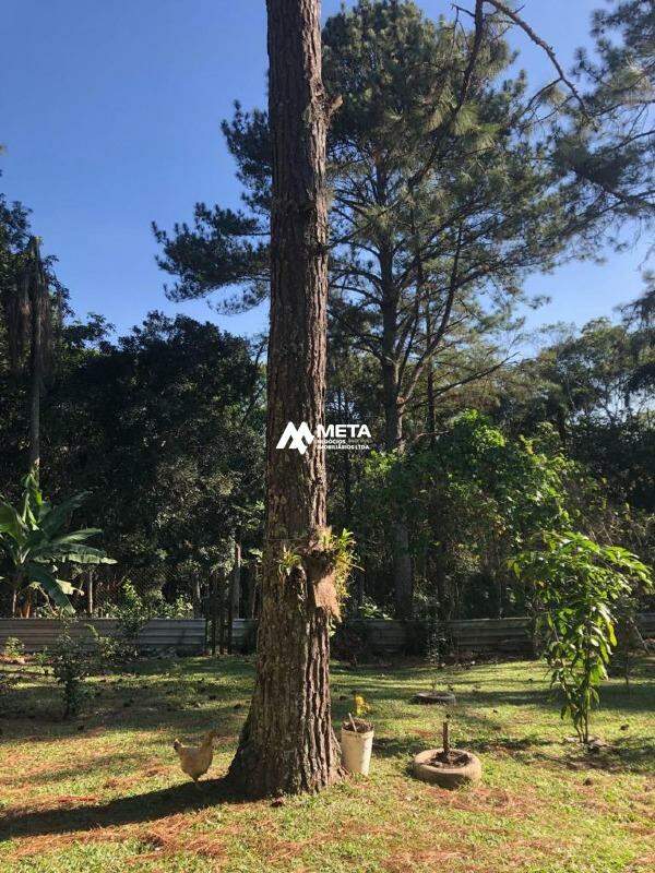 Terreno Padrão à venda no Embu Mirim: 