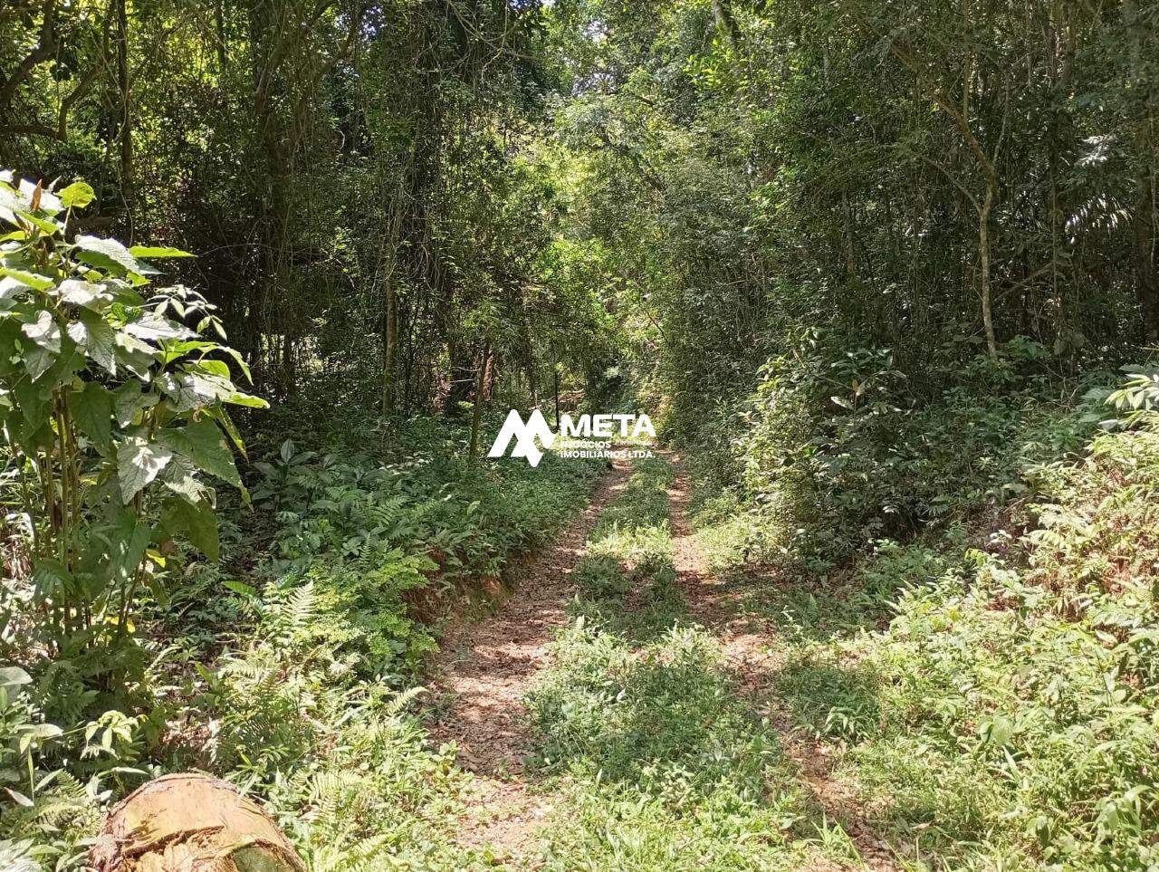Área privativa à venda no Pindorama: 