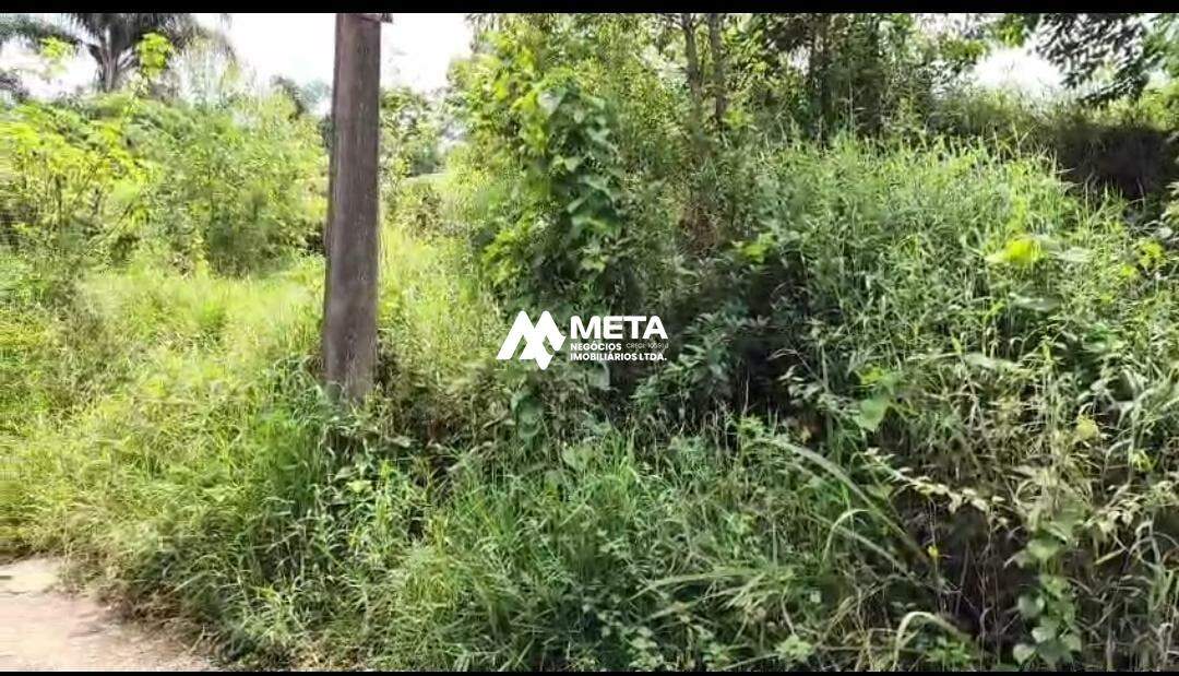 Terreno Padrão à venda no Embu Colonial: 