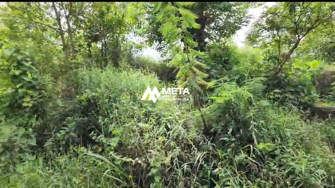 Terreno Padrão à venda no Embu Colonial: 