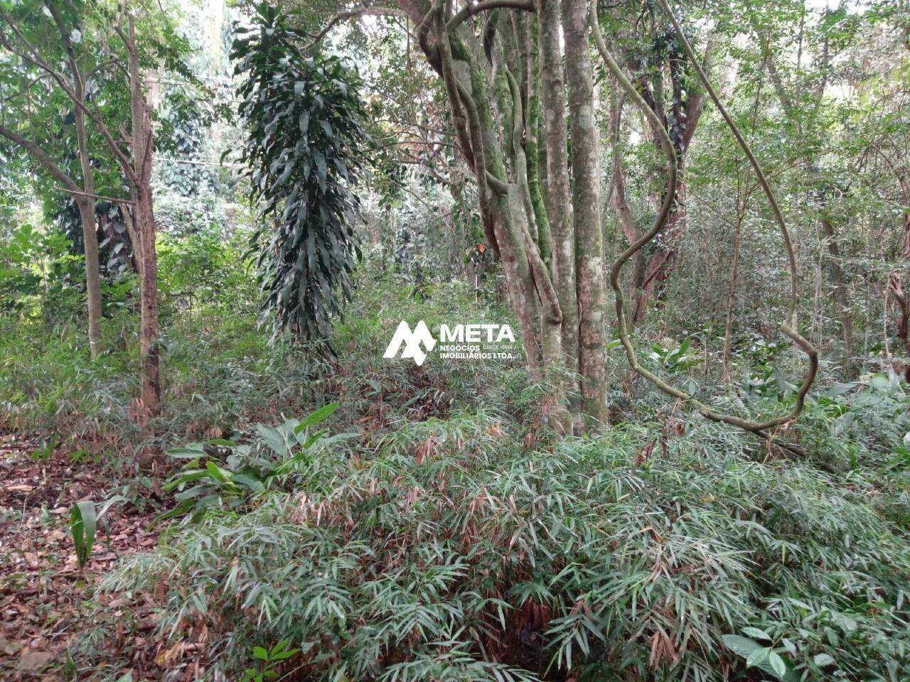 Terreno Padrão à venda no Chácaras Bartira: 