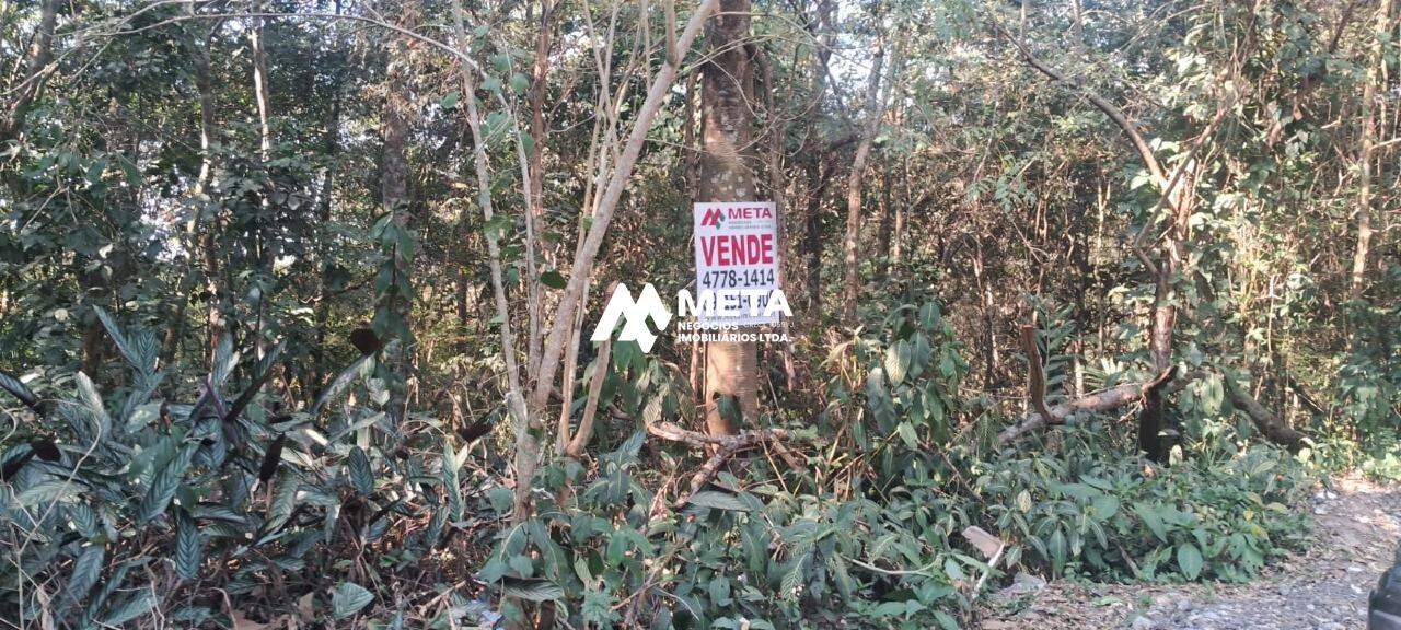 Terreno Padrão à venda no CHÁCARAS AURORA: 