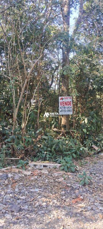 Terreno Padrão à venda no CHÁCARAS AURORA: 