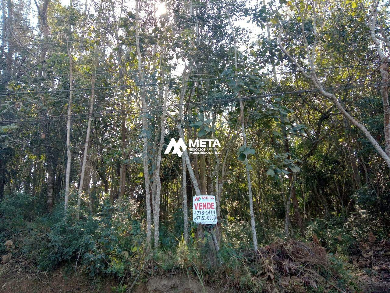 Terreno Padrão à venda no Jardim dos Ipês: 