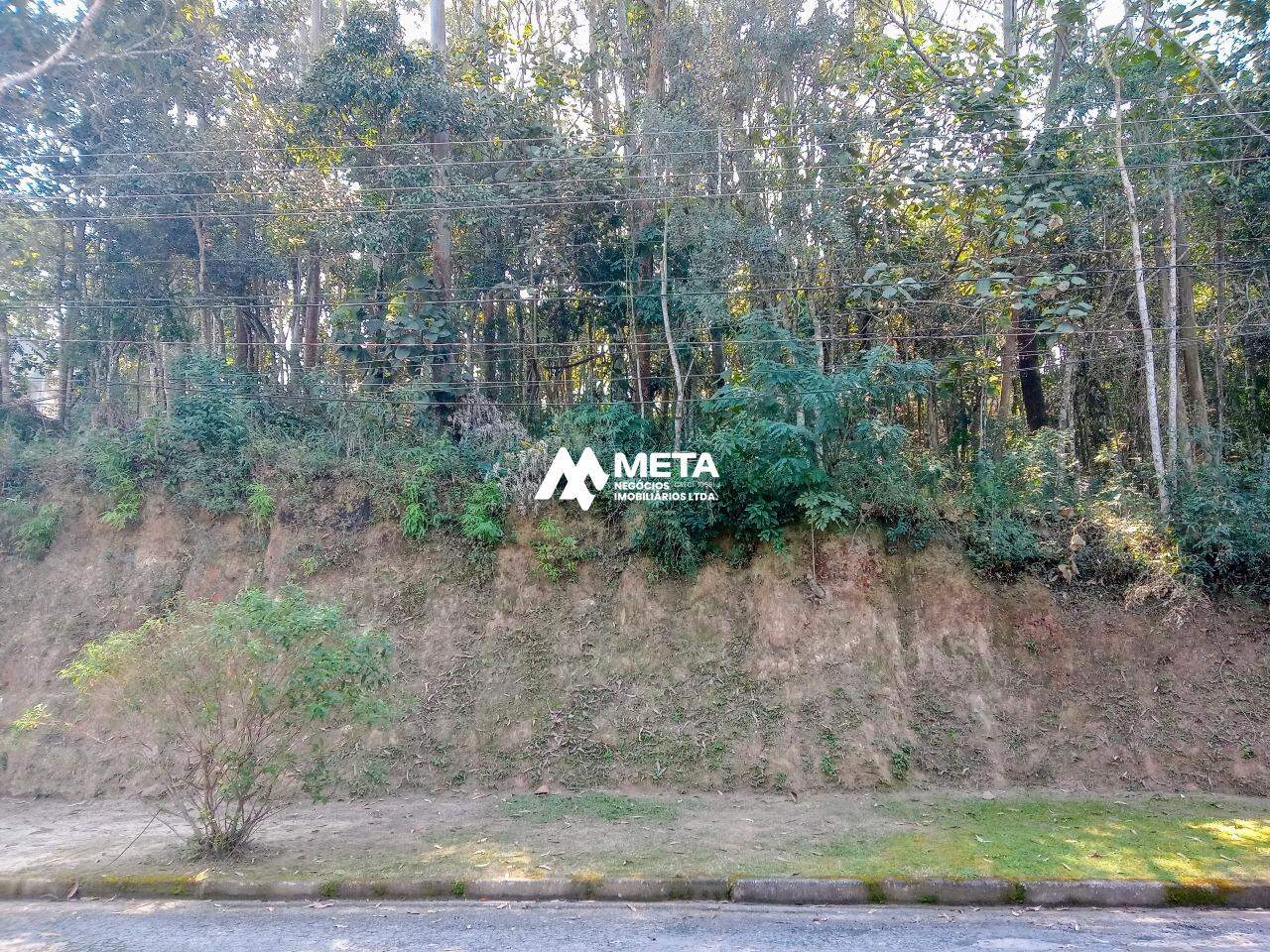 Terreno Padrão à venda no Jardim dos Ipês: 