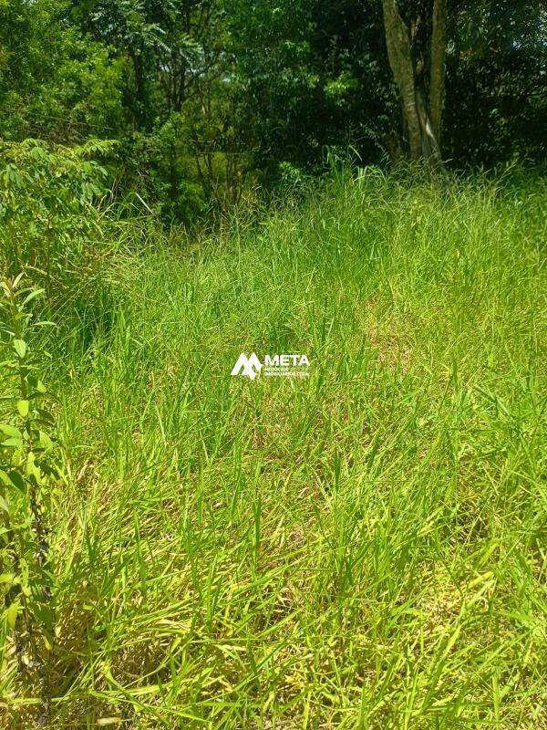 Terreno Padrão à venda no Ressaca: 