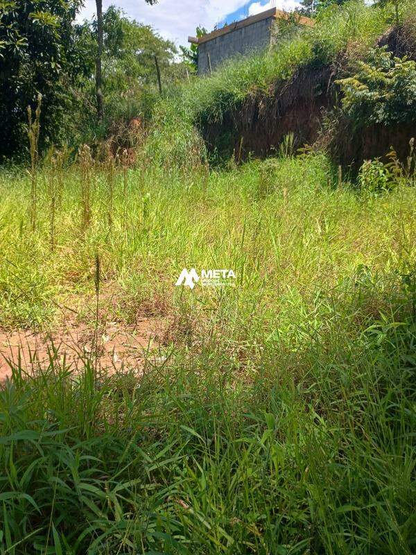 Terreno Padrão à venda no Ressaca: 