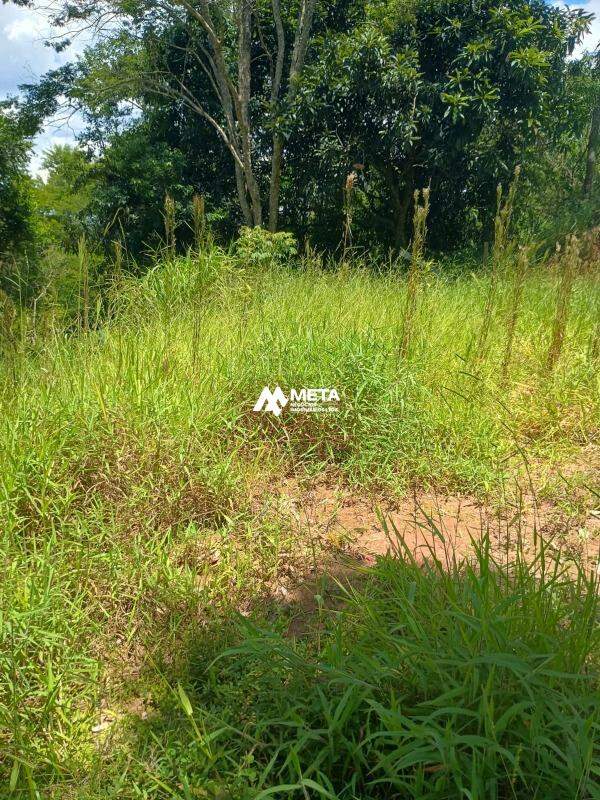 Terreno Padrão à venda no Ressaca: 