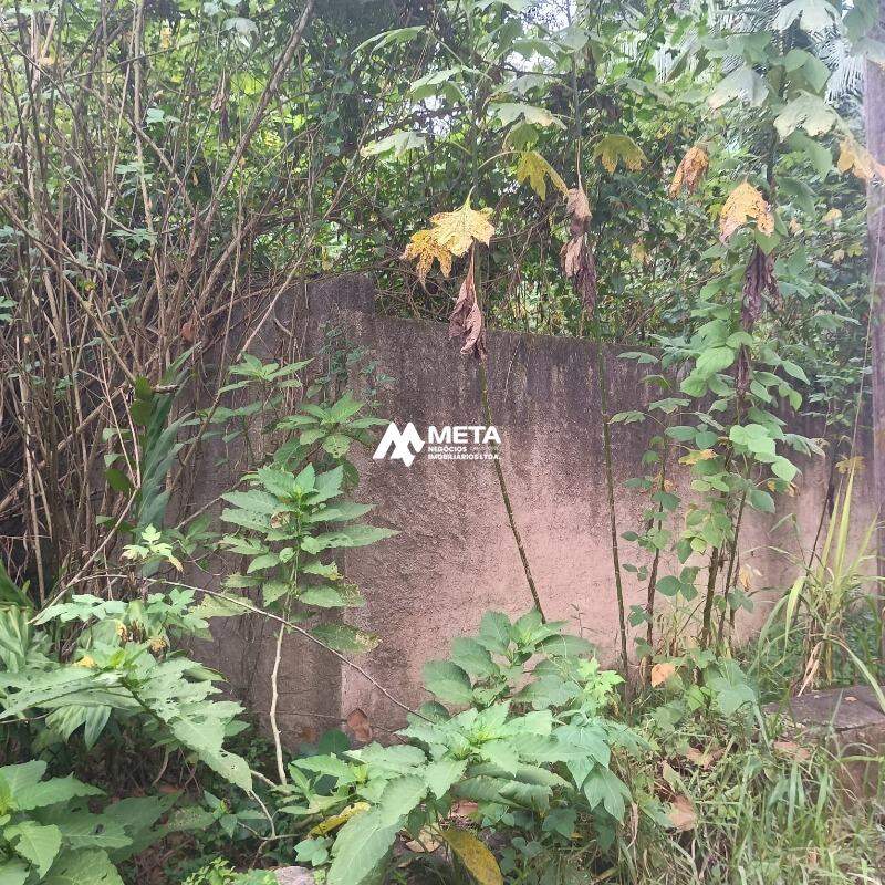 Terreno Padrão à venda no Jardim Santa Luzia: 