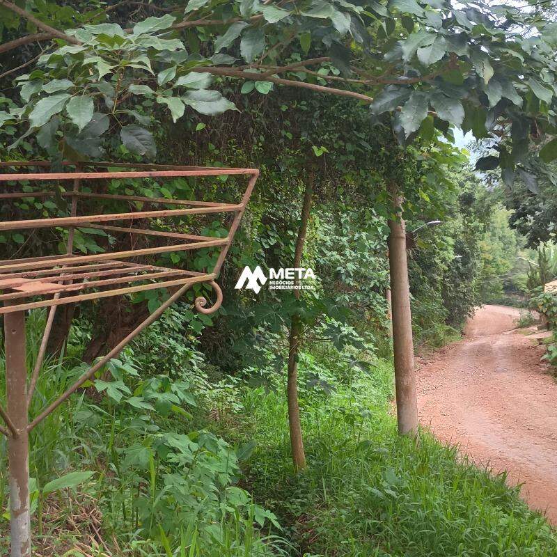 Terreno Padrão à venda no Jardim Santa Luzia: 