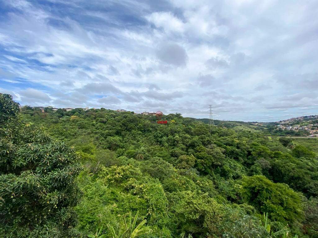 Casa, 4 quartos, 280 m² - Foto 15