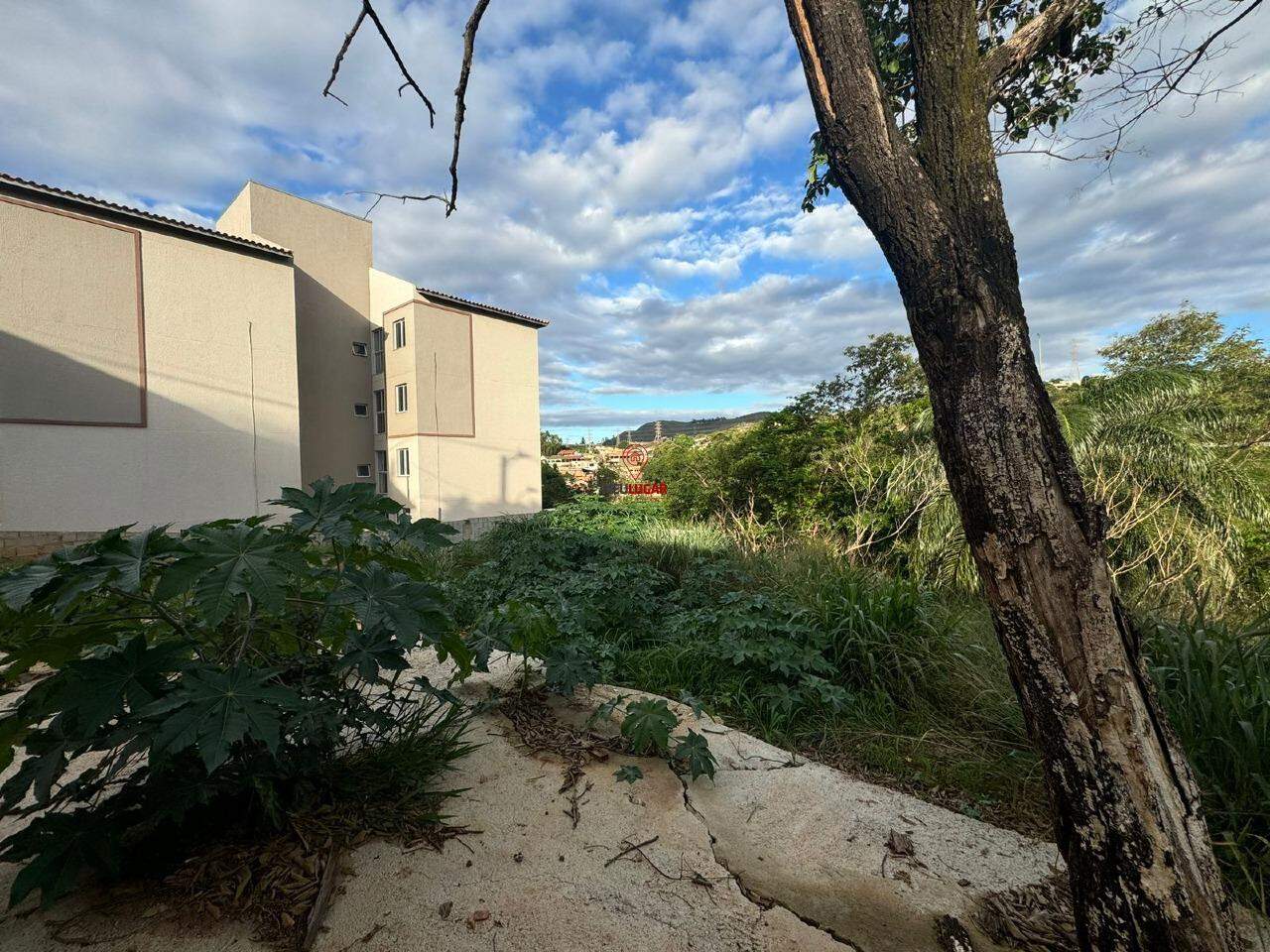 Terreno, 1221 m² - Foto 6