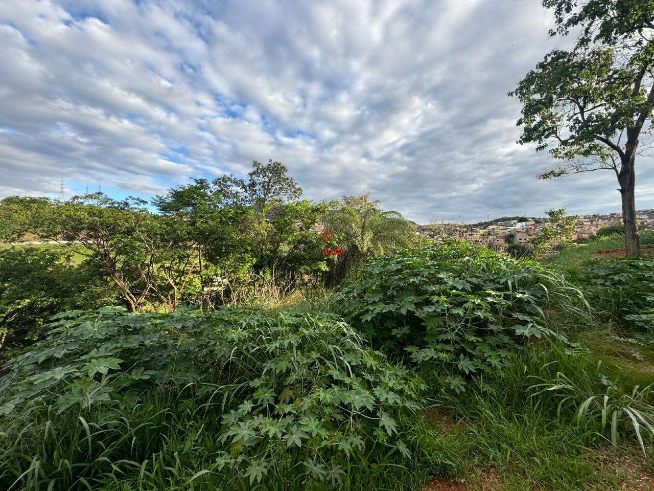 Terreno, 1221 m² - Foto 3