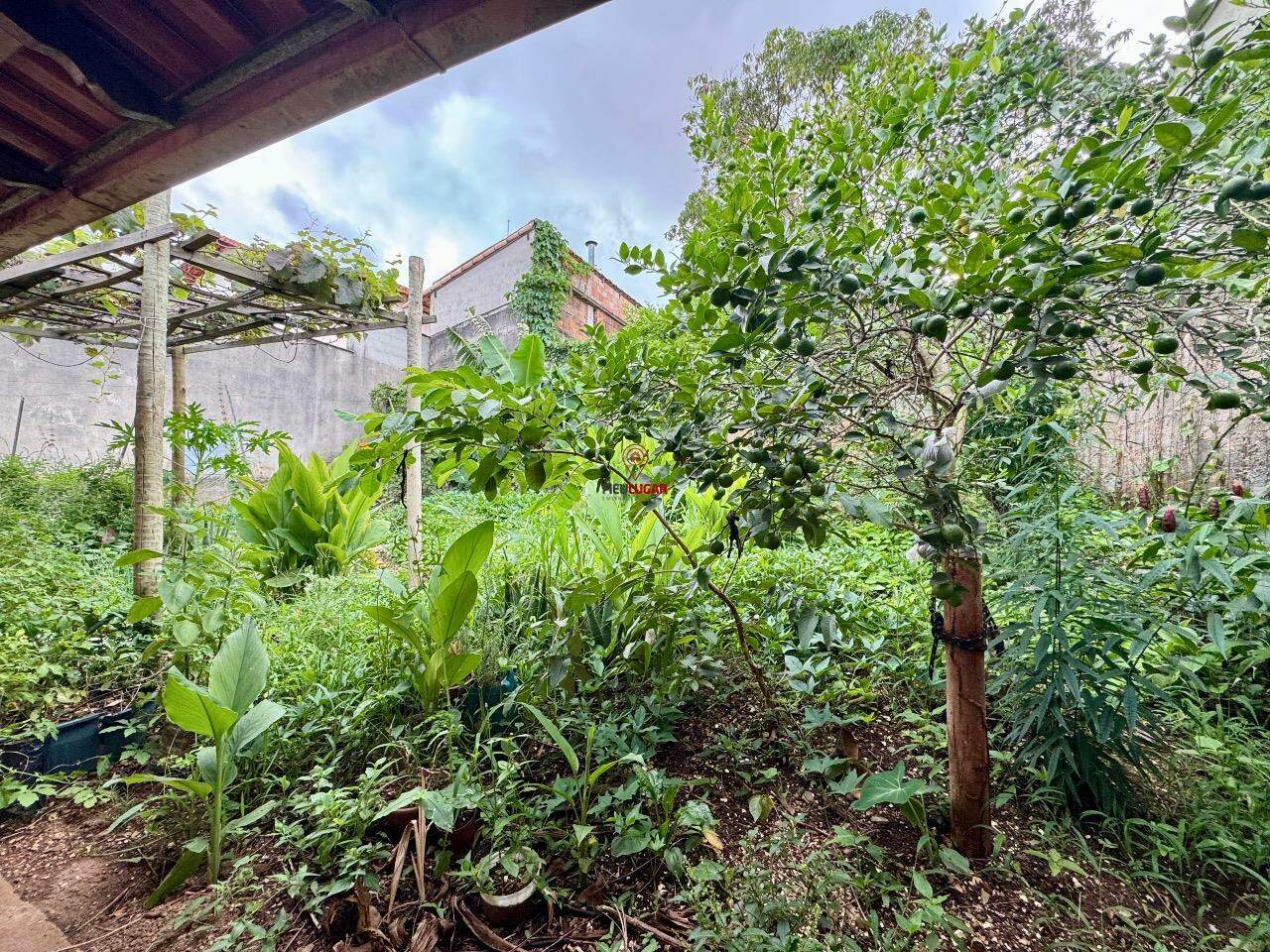 Casa, 5 quartos, 295 m² - Foto 4
