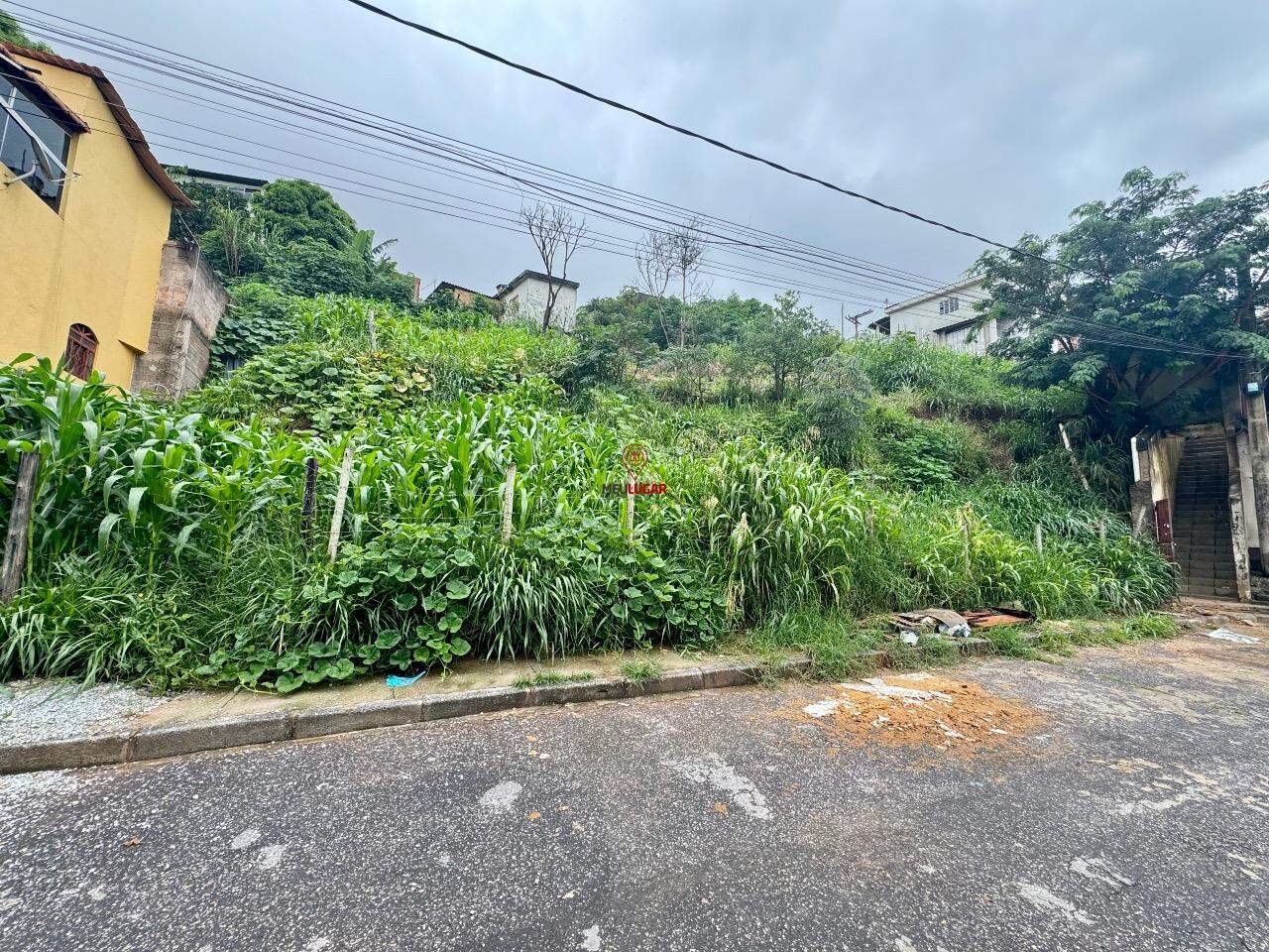 Terreno, 232 m² - Foto 2