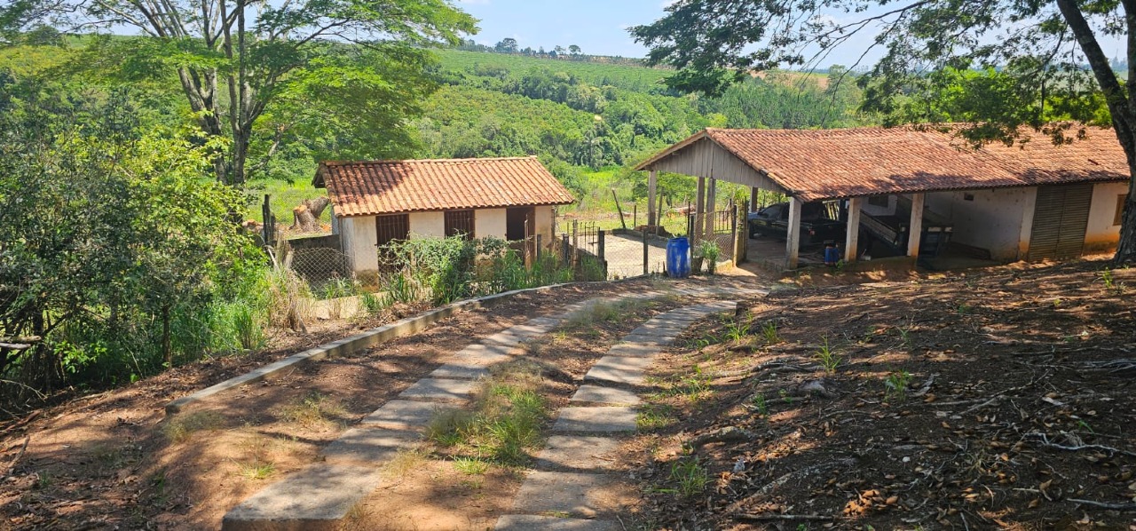 Fazenda / Sitio à venda no Pinhal: 