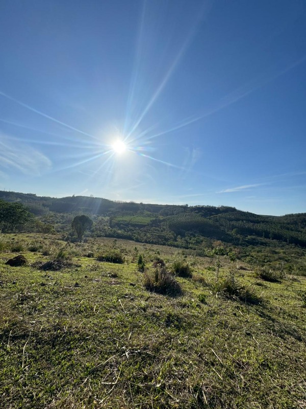 Fazenda / Sitio à venda no Área Rural de Itapetininga: 