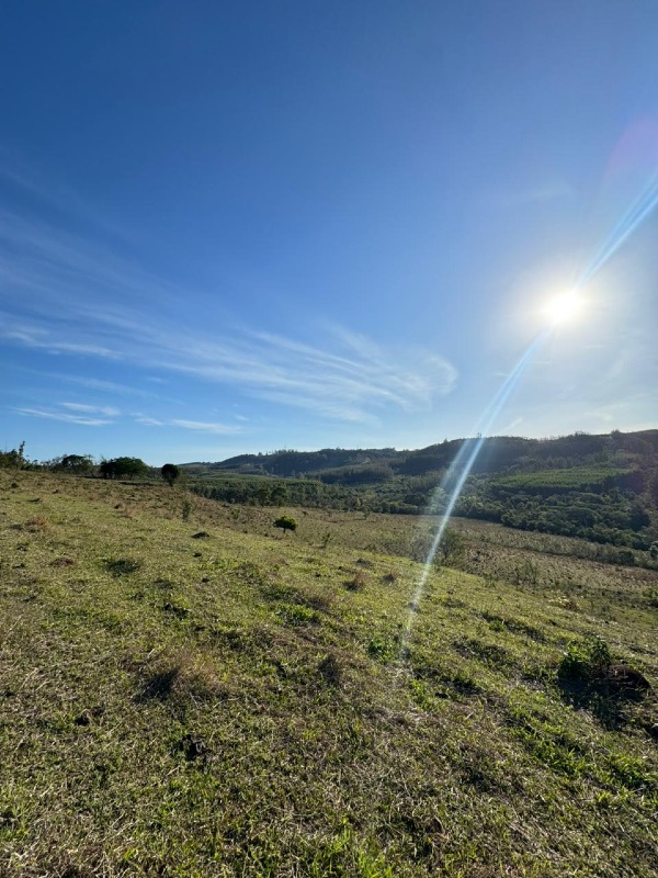 Fazenda / Sitio à venda no Área Rural de Itapetininga: 