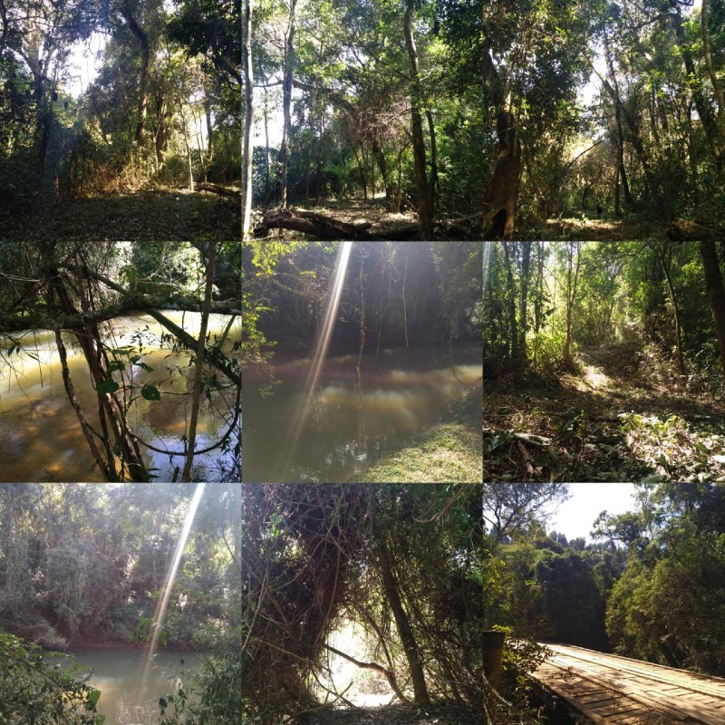 Fazenda / Sitio à venda no Bairro Biscoito Duro: 