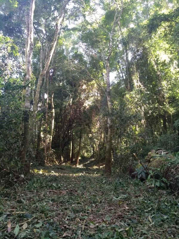 Fazenda / Sitio à venda no Bairro Biscoito Duro: 