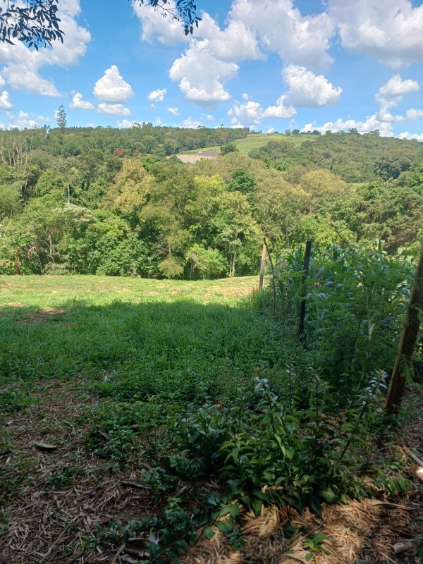 Fazenda / Sitio à venda no Jardim Vila Rica: 