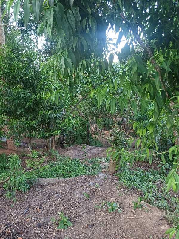 Fazenda / Sitio à venda no Jardim Vila Rica: 