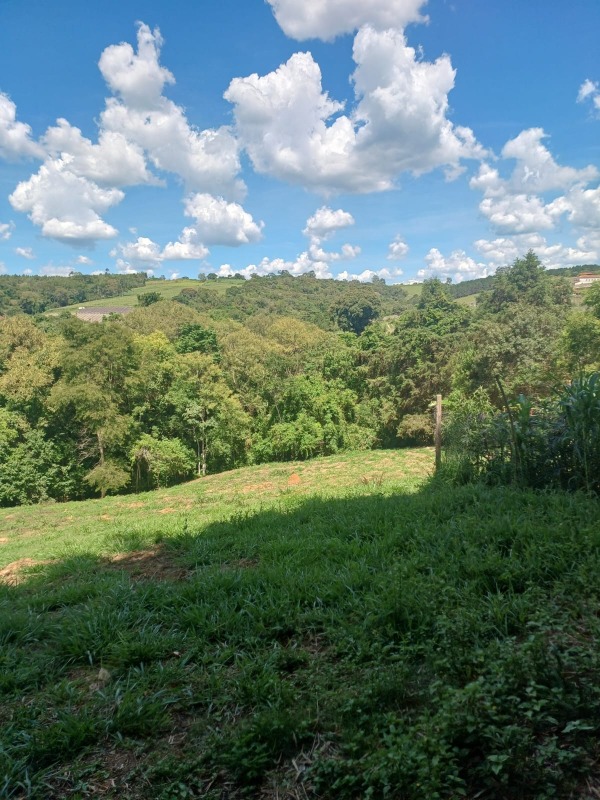 Fazenda / Sitio à venda no Jardim Vila Rica: 