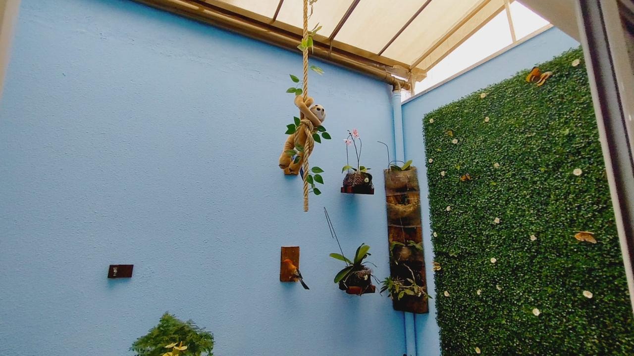 Casa em Condominio à venda no Vila Sonia: 