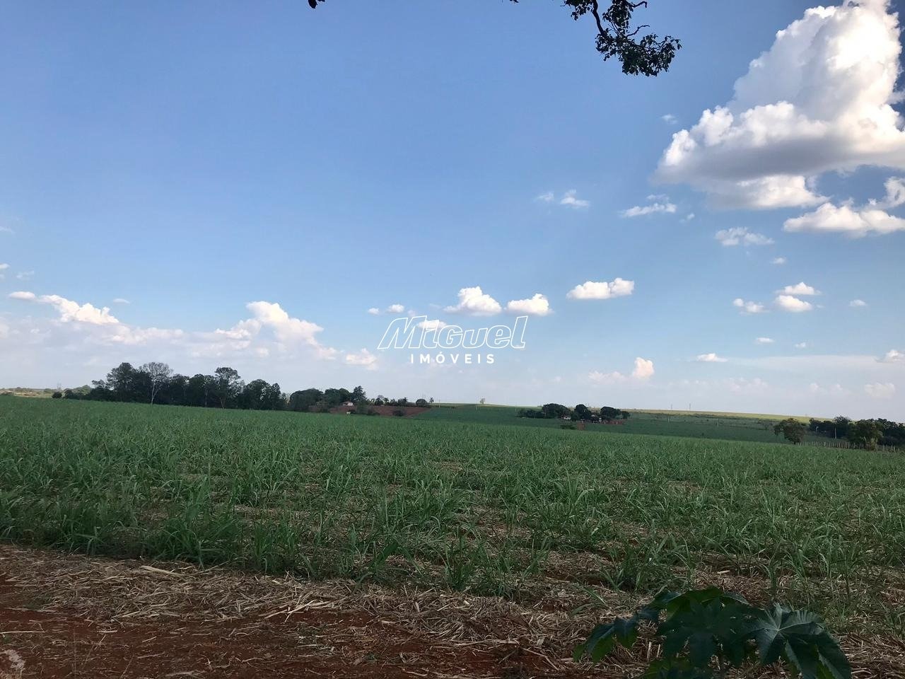 Área, à venda, Água Santa - - Piracicaba/SP: 