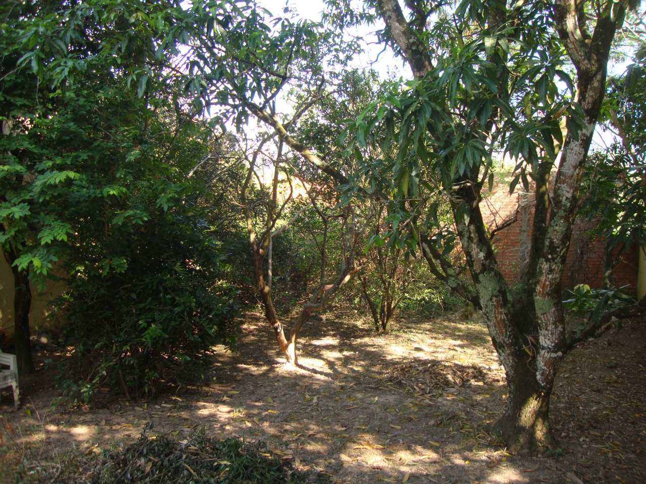 Chácara em Condomínio, à venda, Artemis - 3 quartos Condomínio Colinas do Piracicaba - Piracicaba/SP: 