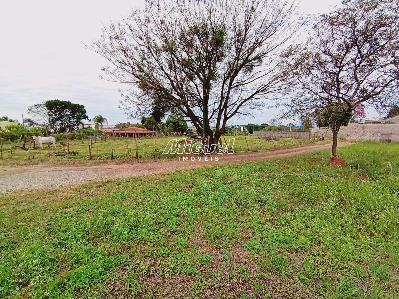 Terreno, à venda, Campestre - - Piracicaba/SP: 