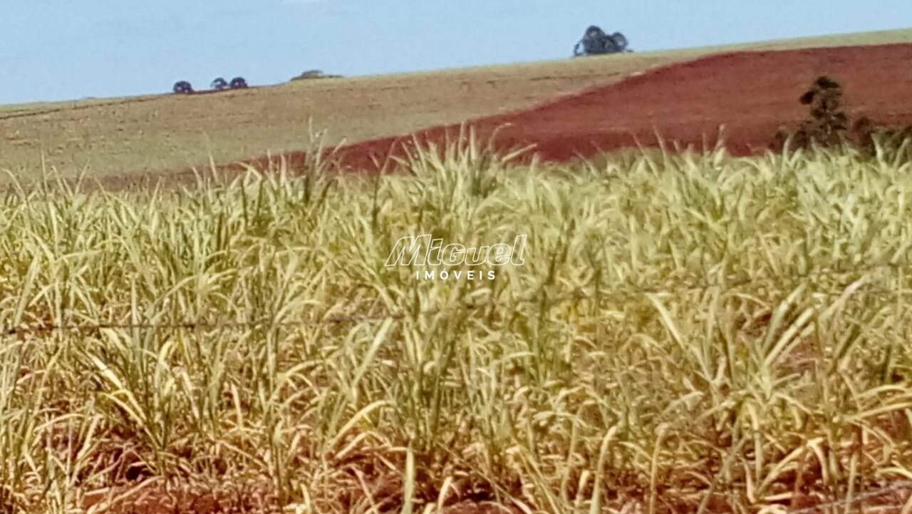 Área, à venda, Jardim Boa Vista - Rio Claro: 
