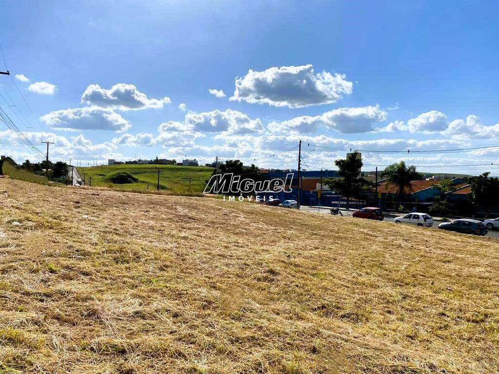 Terreno Comercial, à venda, Vila Sonia - - Piracicaba/SP: 