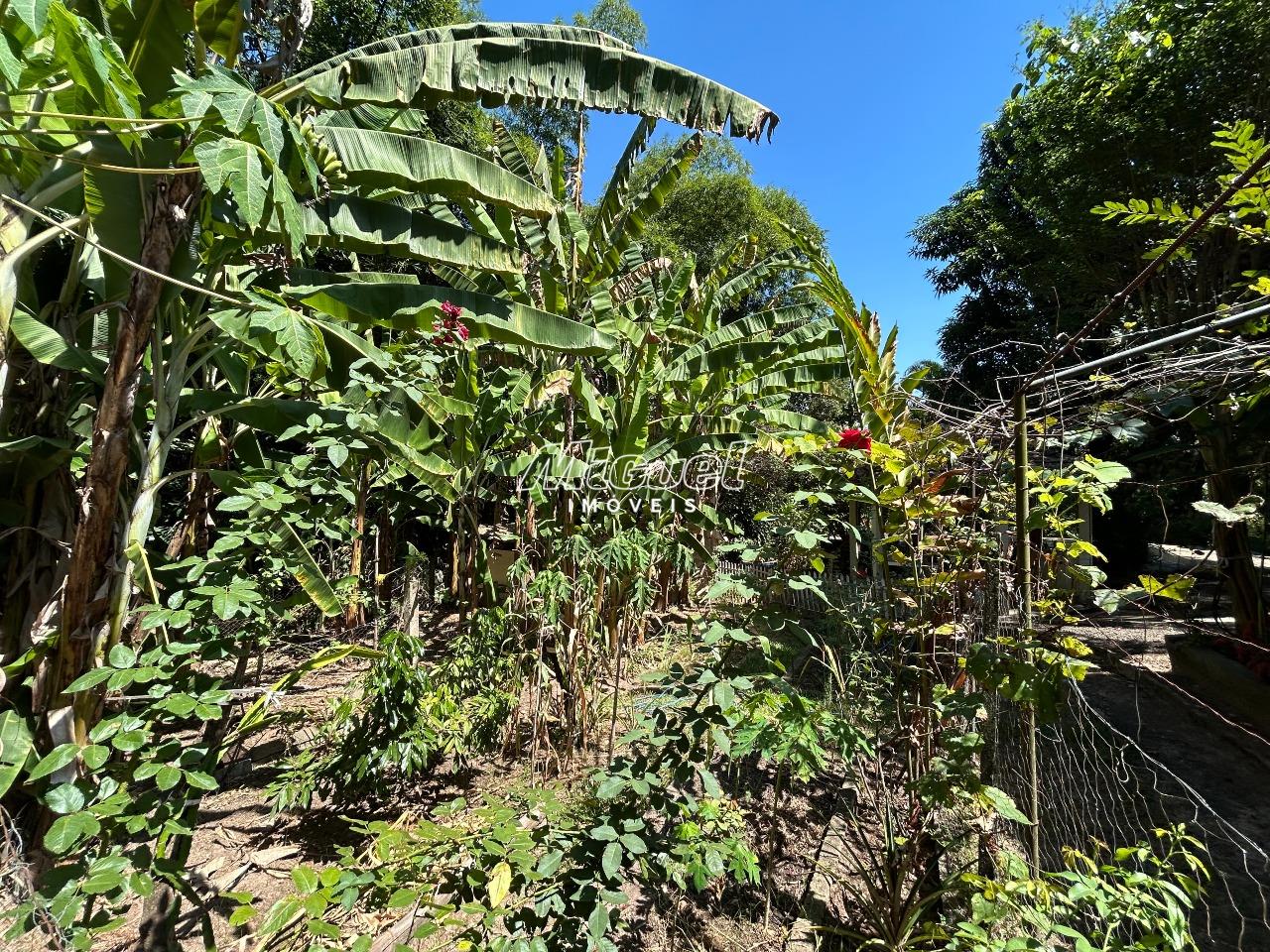 Chácara, à venda, Chácaras Portal do Itaqueri - 3 quartos - Charqueada/SP: