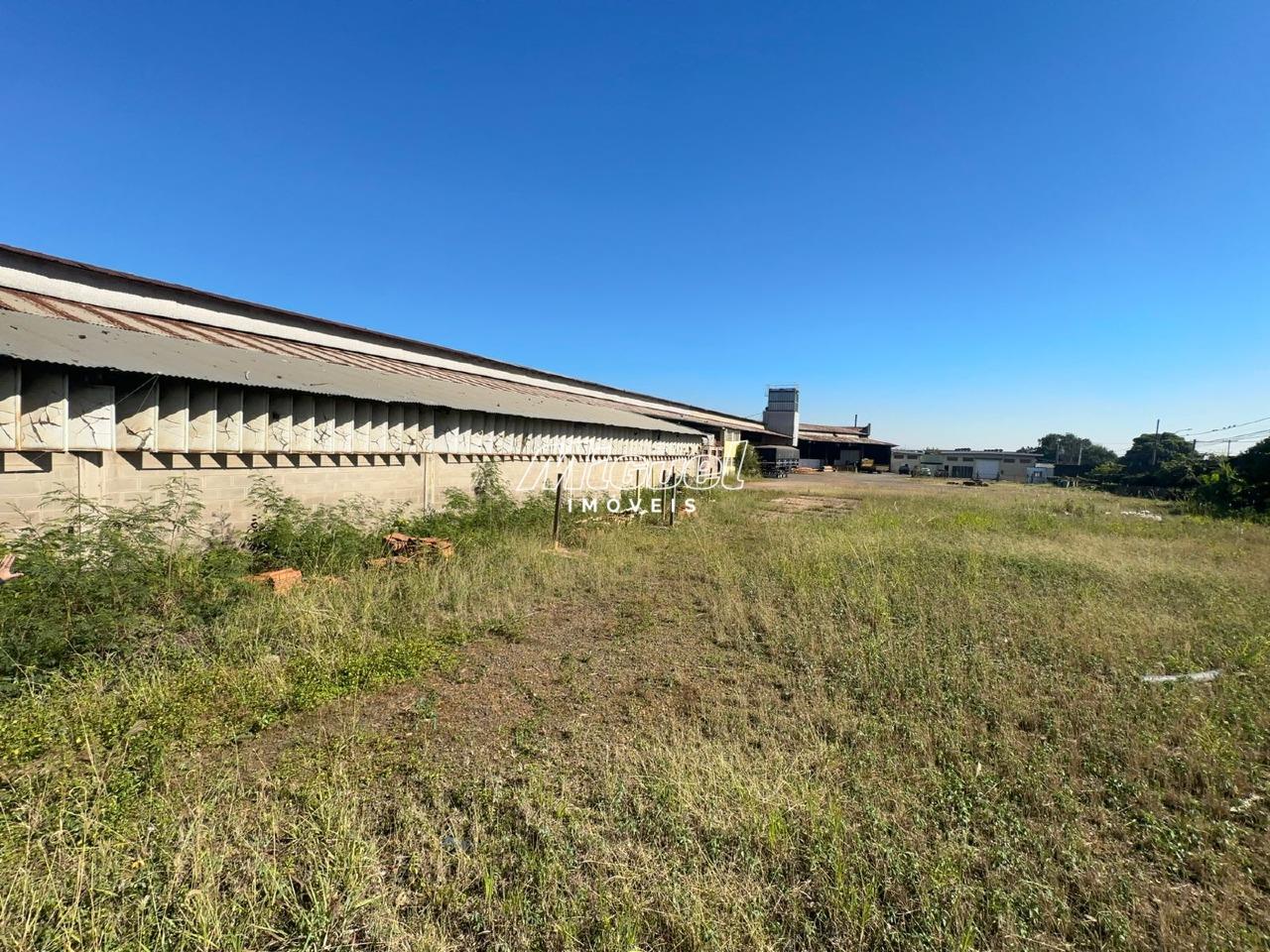 Galpão, para aluguel, Vila Industrial - - Piracicaba/SP: 