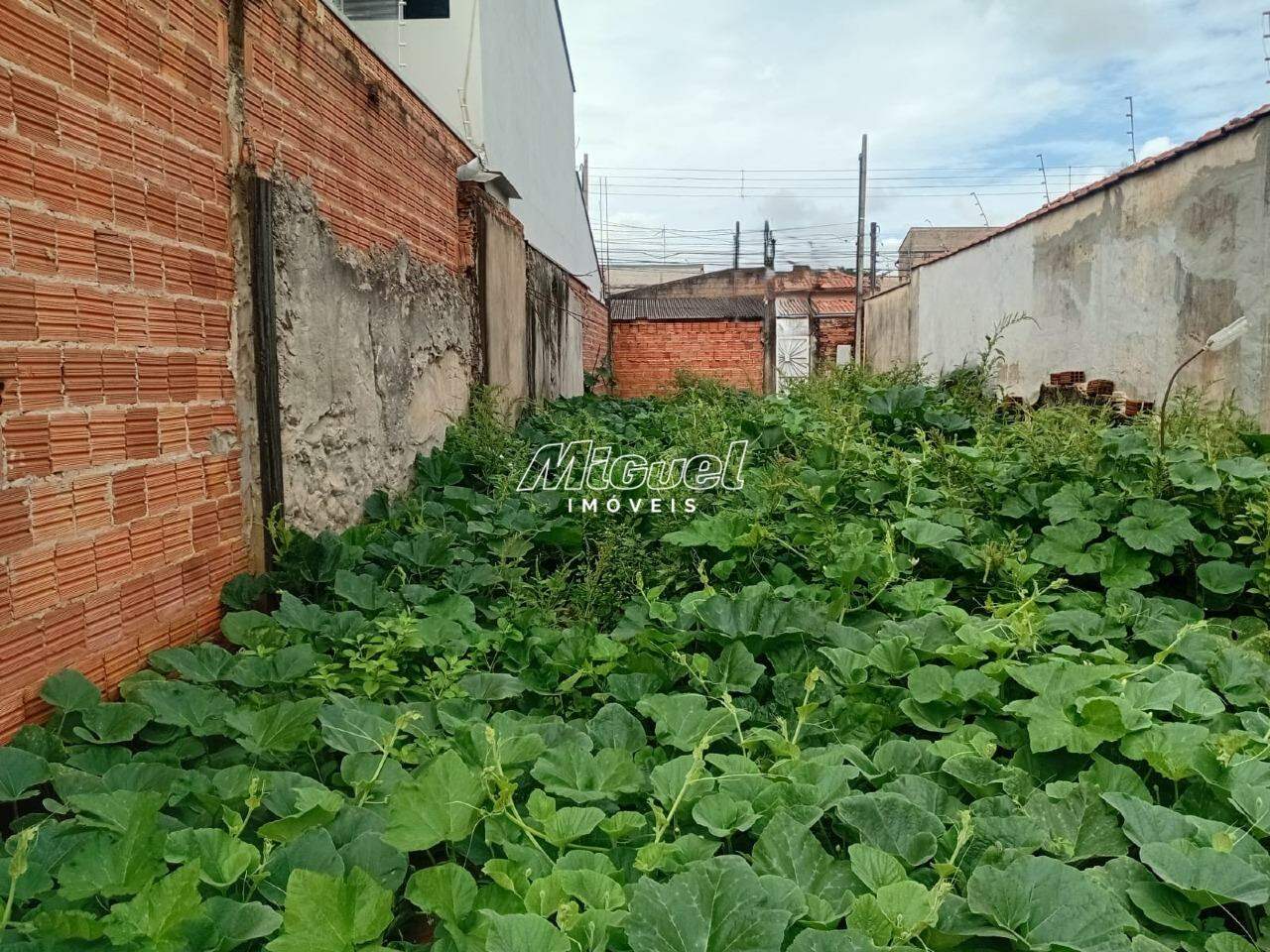 Terreno, à venda, Água Branca - - Piracicaba/SP: 