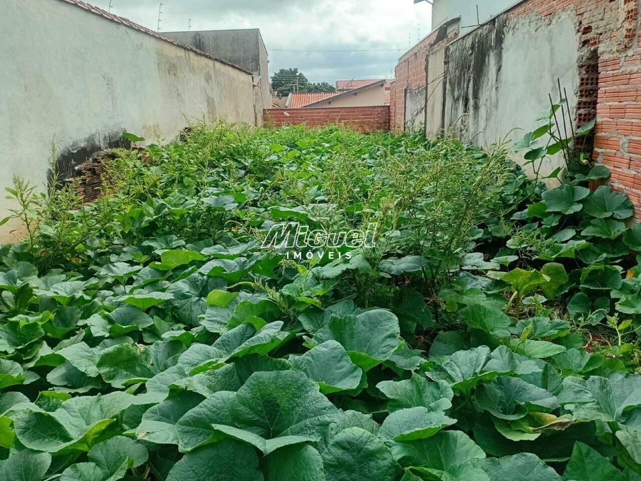 Terreno, à venda, Água Branca - - Piracicaba/SP: 